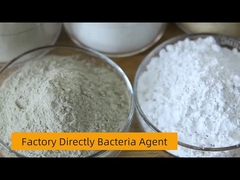 Anaerobic Bacteria,10 Billions Living Bacteria Per Gram,High Effective For Water Treatment